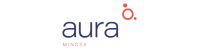 Aura Minerals